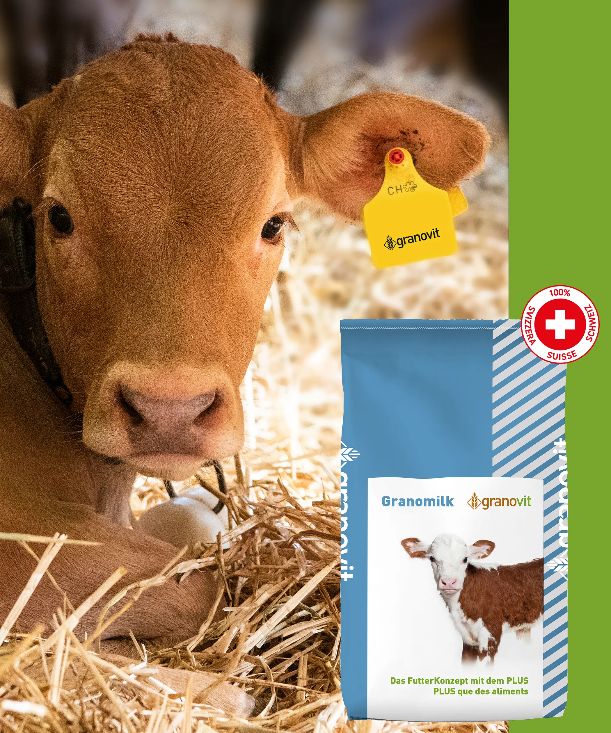 Sonderangebot Milchpulver Granovit AG / Milchpulver vor Kalb